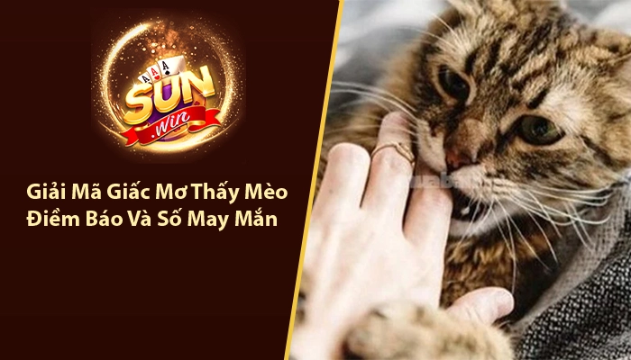 Giải Mã Giấc Mơ Thấy Mèo - Điềm Báo Và Số May Mắn 7 Giải mã giấc mơ thấy Mèo