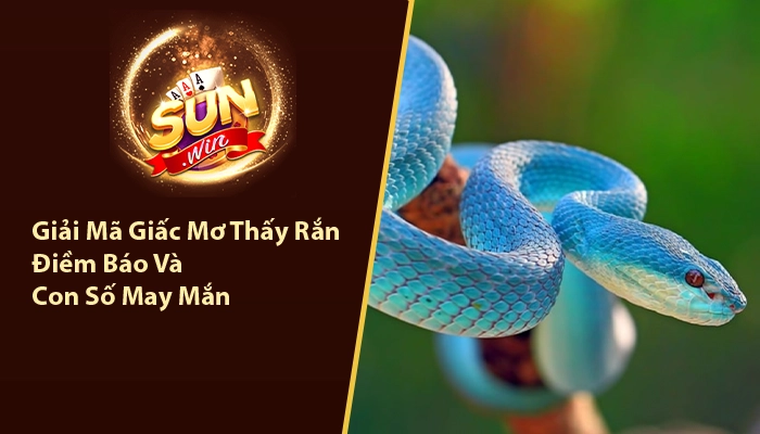 Giải Mã Giấc Mơ Thấy Rắn - Điềm Báo Và Con Số May Mắn 3 Giải mã giấc mơ thấy rắn